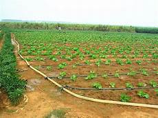 Flat Drip Irrigation Pipes