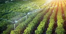 Irrigation Pipe