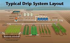 Irrigation Pipes