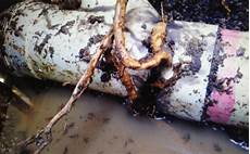 Irrigation Pipes