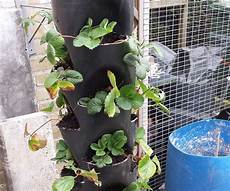 Irrigation Pipes