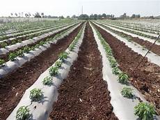 Pe Coil Irrigation Pipes