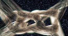 Plastic Fastener