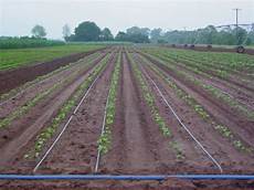 Pressurised Irrigation Pipes