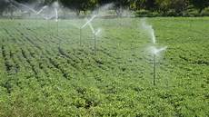 Springler Irrigation Pipe